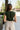Amara Dark Green Sleeveless Tank- back view