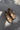 Mystic Leopard Studded Ankle Strap Flat- front flay lay view