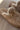 Mia Sugary Natural Shearling Platform Mule- close up frontal side view