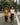 two models walking across cross walk