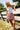 Alayah Red & White Stripe Linen Skort- full view