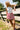 Alayah Red & White Stripe Linen Skort- full view