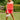 Kate Red & White Linen Sleeveless Romper- full body view