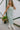 Reagan Green & Cream Linen Stripe Midi Dress- frontal side view