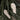 Billini Orvell Bone Tong Ring Sandal- front  top view
