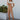 Full body front view of model wearing the Next Adventure Jumpsuit in Camel features a linen material, a square neck, a sleeveless design with tie straps, two front and back pockets, and elastic ankles. Worn over white tshirt.
