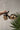 Mia Roxie Natural & Black Sandal Heel - side view