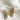 Camila Rhinestone & Pearl Knot Stud Earring - close front view