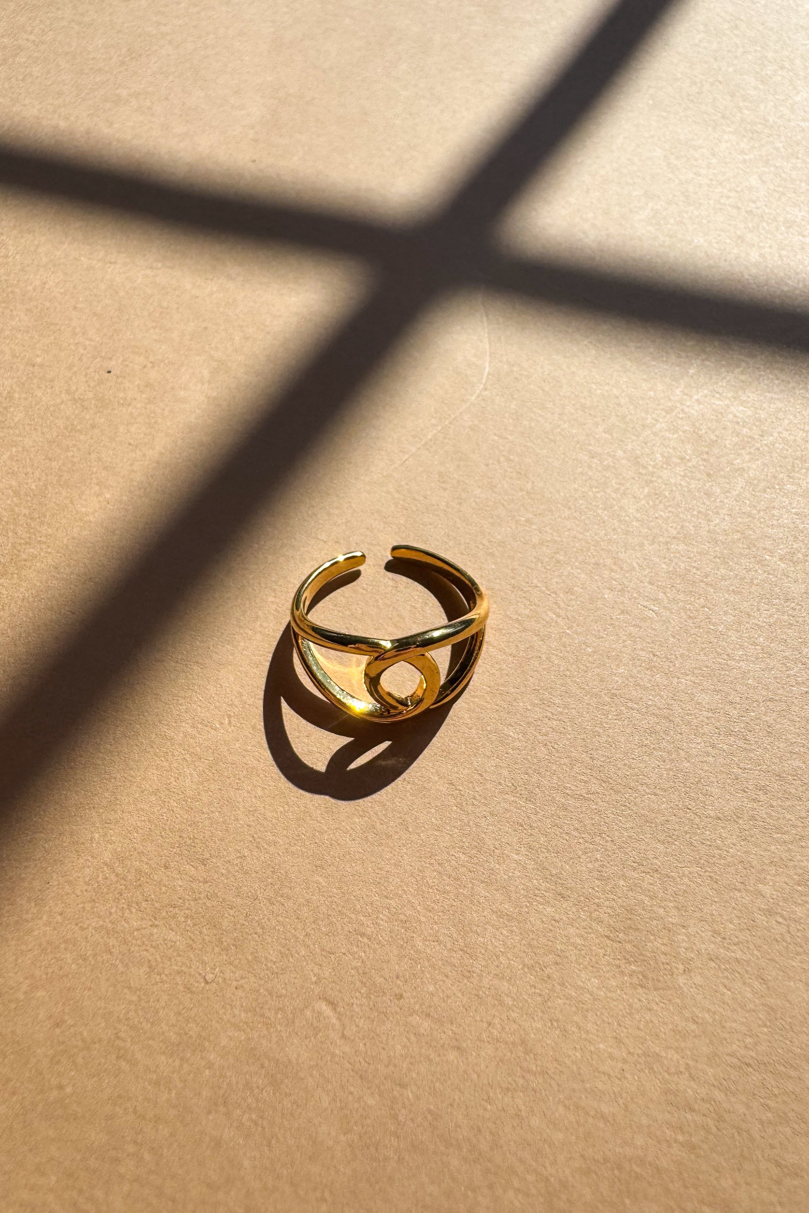 Carmella Gold Dipped Intertwined Ring - flat lay close up