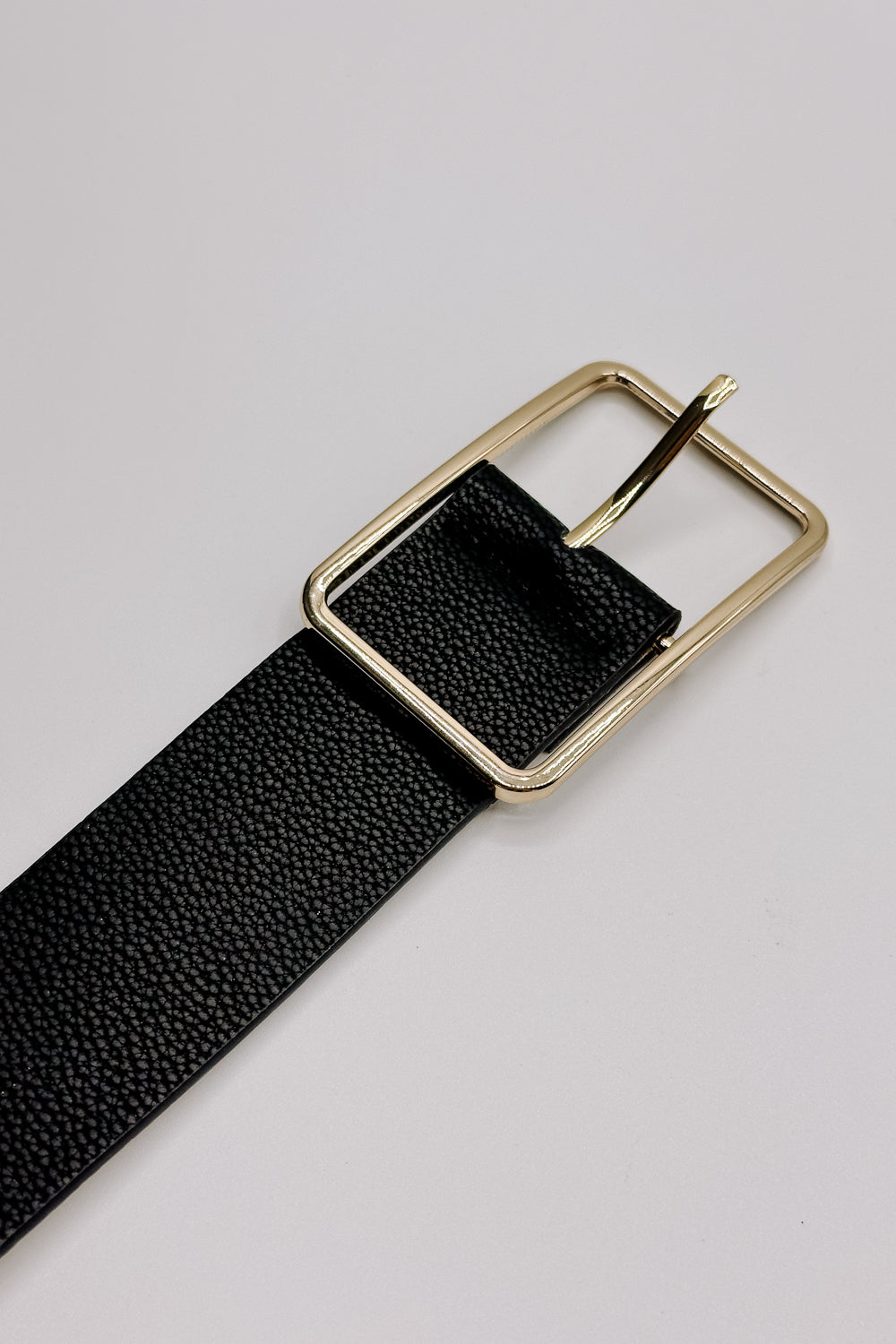 Lydia Black Faux-Leather Belt - close up of buckle