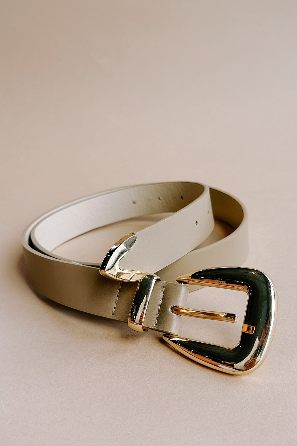 Elizabeth Taupe & Gold Buckle Belt- full view