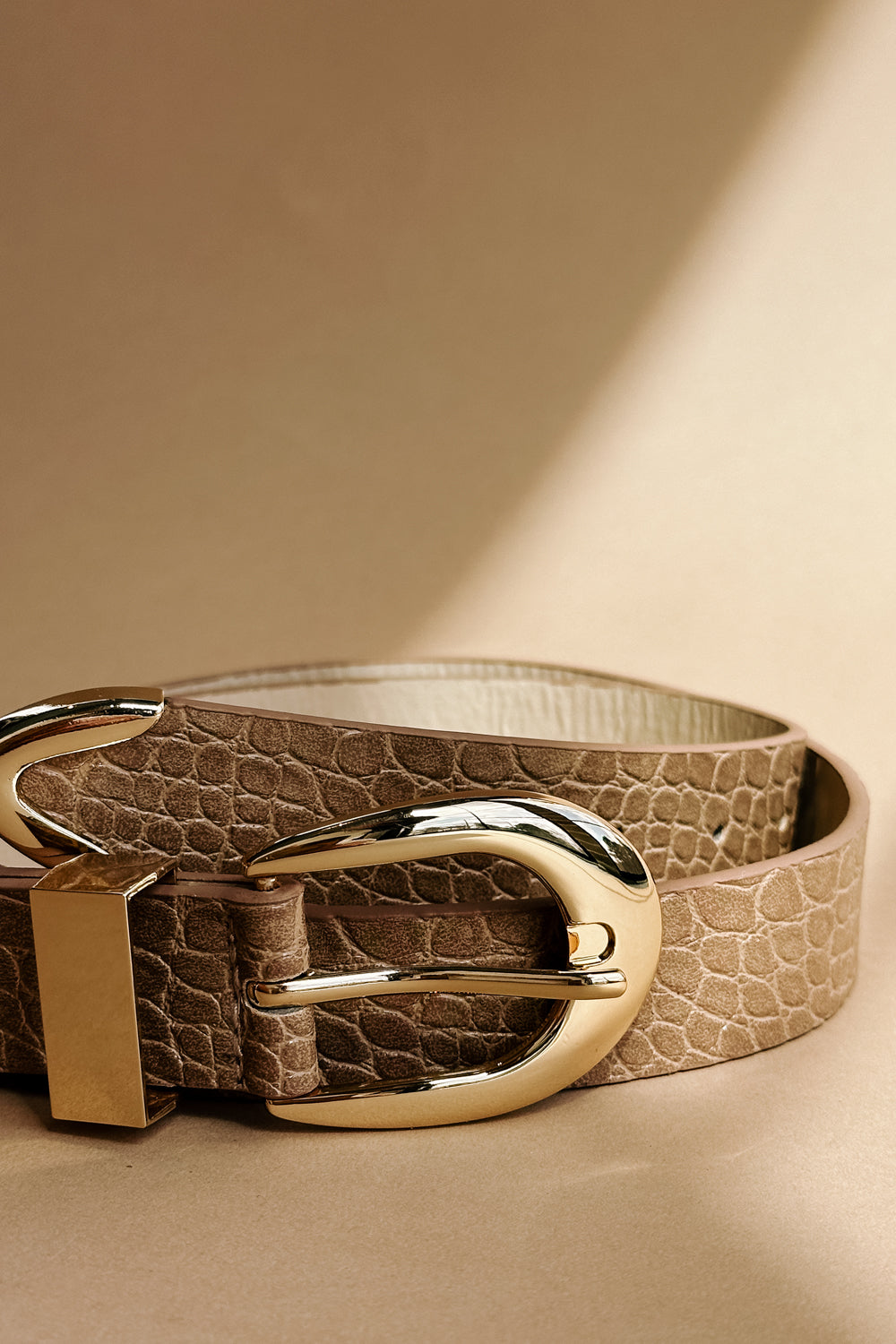 Rhea Taupe Croc & Gold Buckle Belt- close up front view