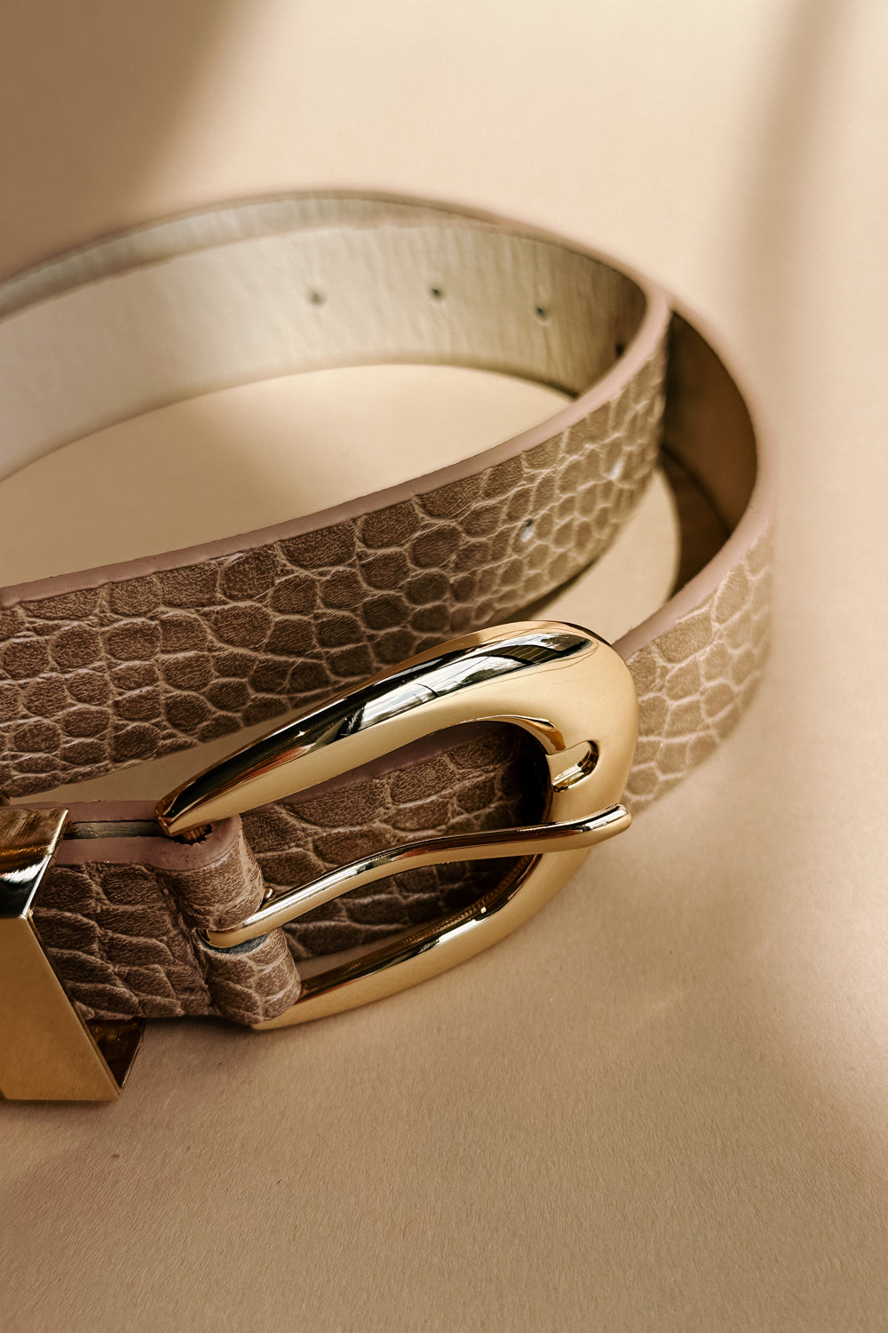 Rhea Taupe Croc & Gold Buckle Belt- close up ariel view