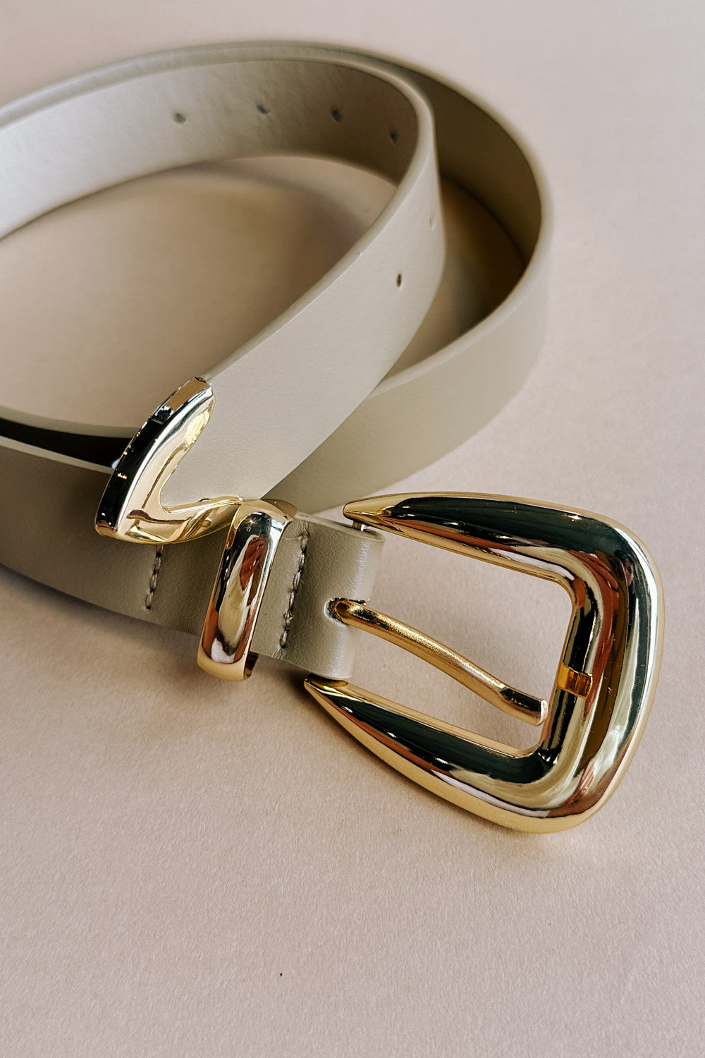 Elizabeth Taupe & Gold Buckle Belt- top view