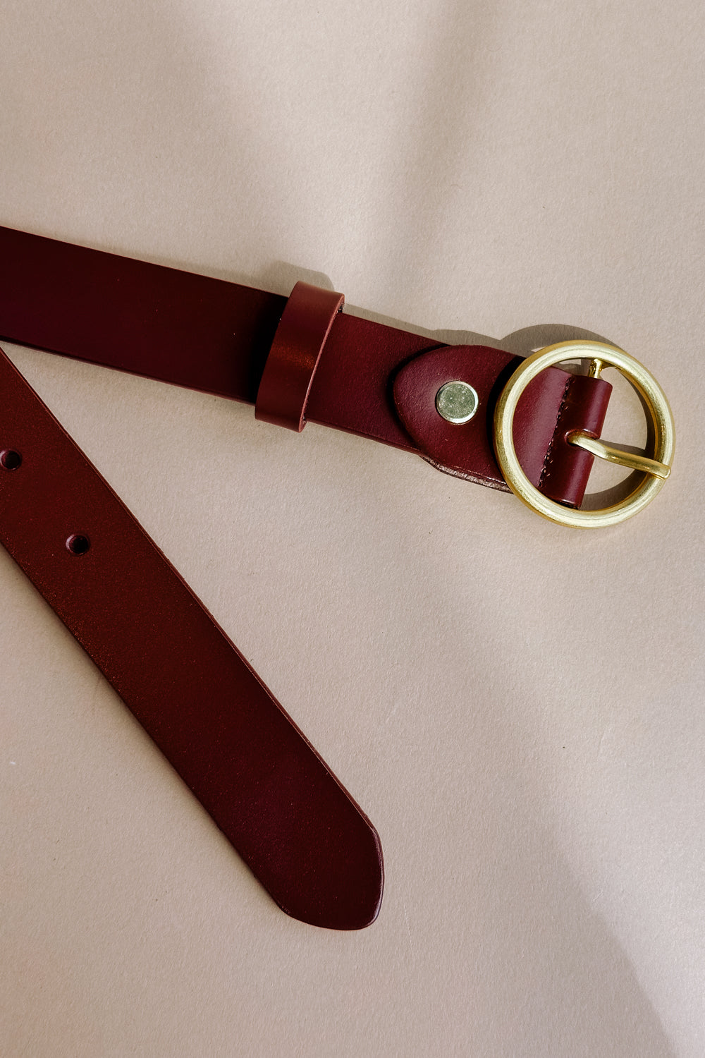 Azalea Brown & Gold Circle Buckle Belt- flat lay view