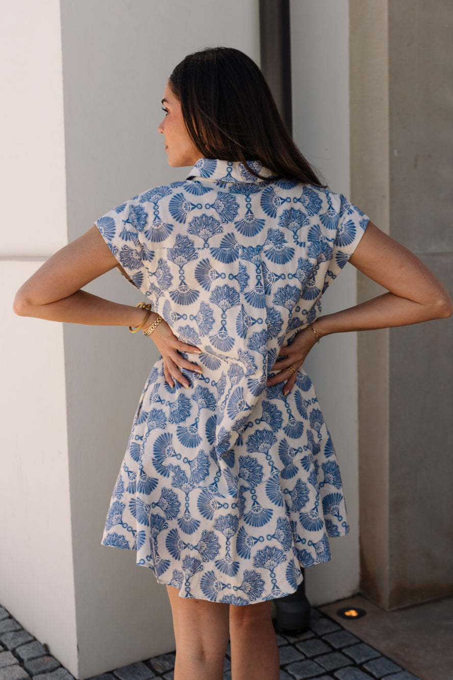 Lydie Blue & Linen Seashell Flare Dress- back view