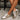 Dolce Vita Delany Light Gold Crinkle Patent Sneaker- frontal side full body view