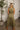 Rochelle Olive Belted Midi Dress - full body back view