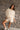 Tarah Beige & White Striped Top - front view