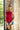 Lexia Red Strapless Pleated Top - view of front 