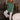 Dakota Dark Green Sweatshirt - full body view