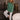 Dakota Dark Green Sweatshirt - full body view