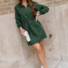 Lizzy Green Quarter-Zip Long Sleeve Mini Dress - full body front view