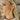 Lori Mixed Metal Layered Half Hoops - side view on model