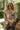 Lucie Brown Floral Sweater - front view