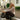 Chelsie Brown & White Striped Pullover - sitting view