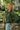 Ivy Olive & Blue Striped Sweater - front and side view 