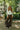 Shana Brown Chain Detail Pants - Posed full body front