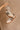 Shu Shop Stevie Beige Shearling Sneaker- close up front view