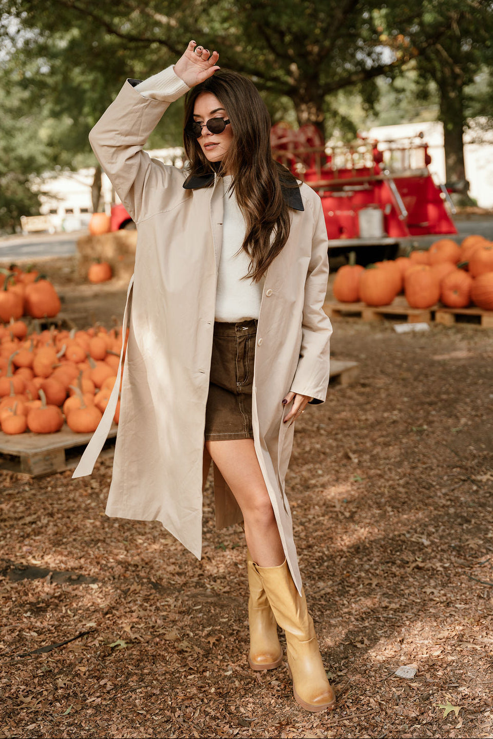 Willow Beige & Navy Waist Tie Trench Coat - full body view