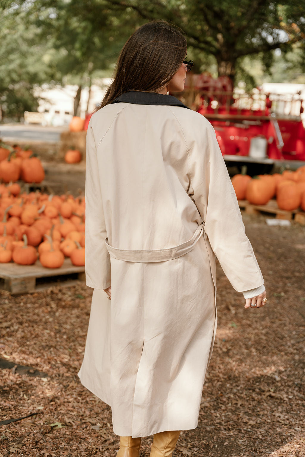 Willow Beige & Navy Waist Tie Trench Coat - close up back view