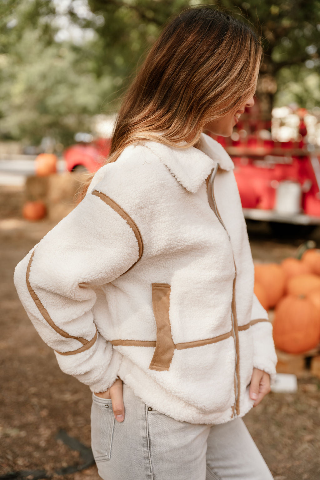 Nova Ivory Shearling & Brown Suede Jacket- frontal side top view