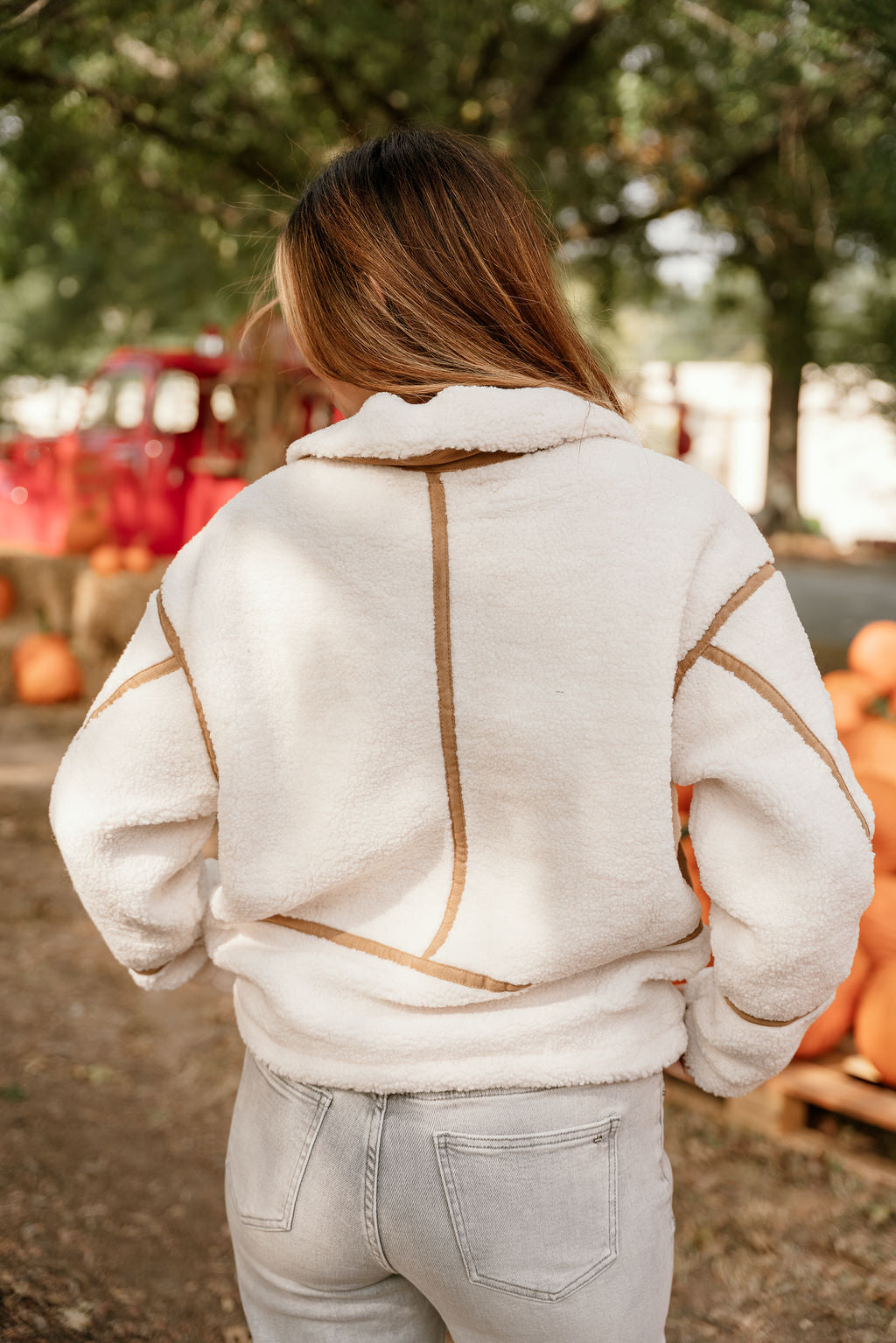 Nova Ivory Shearling & Brown Suede Jacket- close up back view