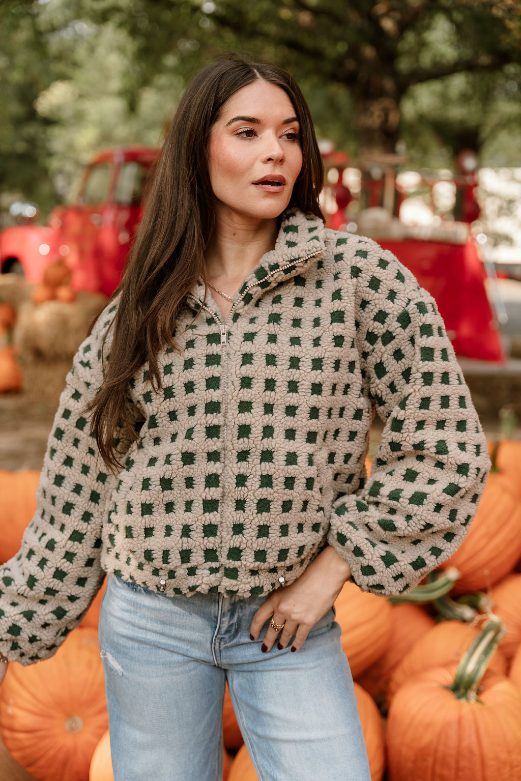 Nora Taupe & Green Shearling Plaid Jacket- close up front view