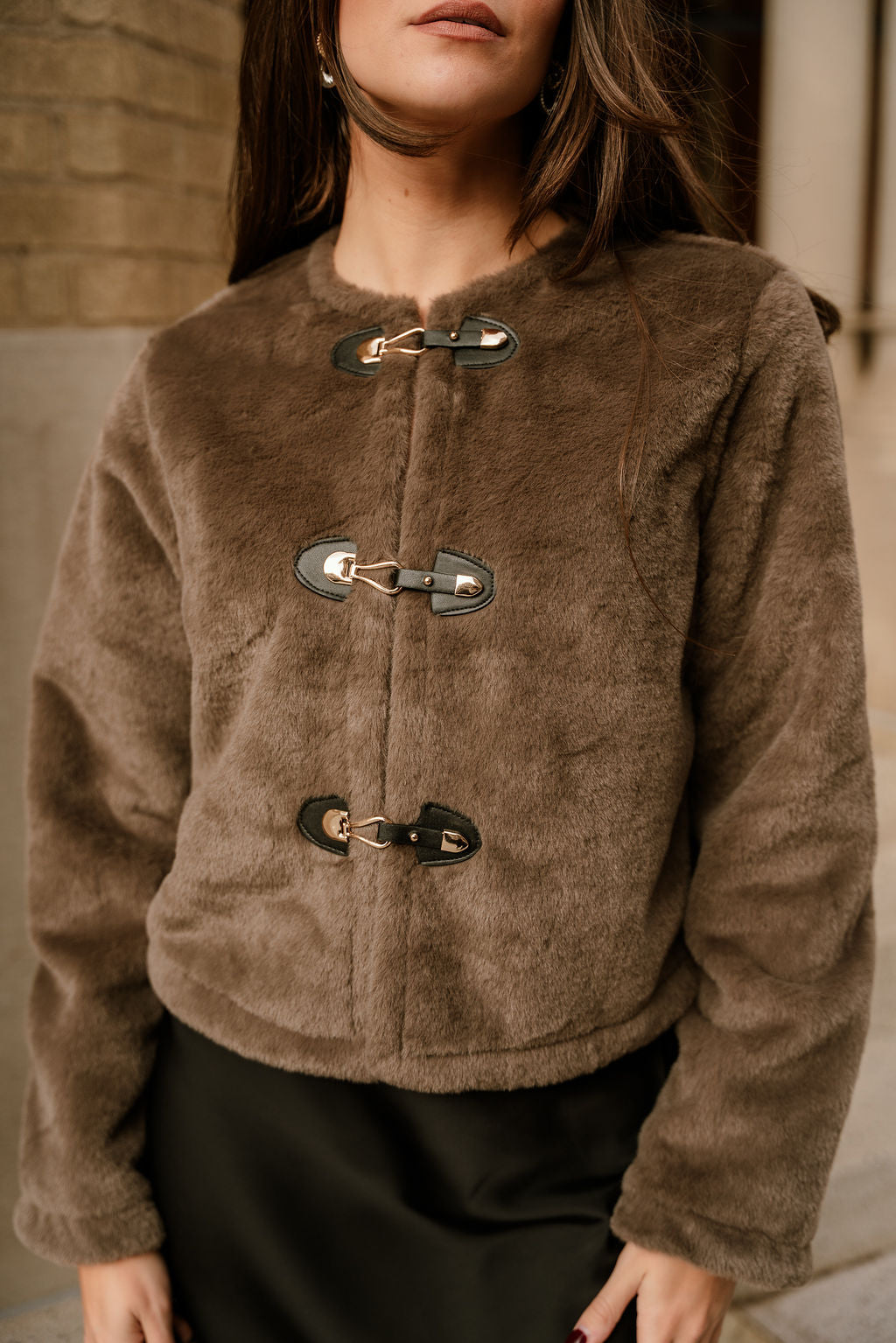 Aspen Taupe Faux Fur Jacket - close up top view