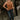 Shiloh Brown Corduroy Split Hem Vest - full body front view