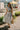 Aliyah Light Sage Raffia Belt Midi Dress- full body view