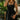 Alexa Black Flare Mini Dress- close up front view