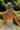 back view of the Juliet Natural Flare Halter Mini Dress