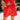 Angela Red Floral Eyelet Shorts- front view