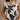 Sloan Cream & Black Floral Crochet Tank- top front view