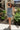 Briana Blue & White Trim Shorts - full body front view