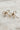 Close up of Dani Bow Stud Earrings, gold ribbed mini bow shaped studs.