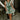 Savannah Green & White Floral Flare Mini Dress- full body view
