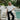 Kinsley Black Bubble Flare Pants - full body front view