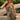 Lennox Tiger Belted Strapless Mini Dress - front view